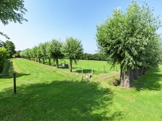 Ferienhaus Renesse Außenaufnahme 5