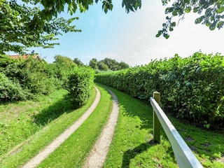 Maison de vacances Renesse Enregistrement extérieur 6