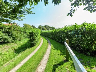 Vakantiehuis Renesse Buitenaudio-opname 9