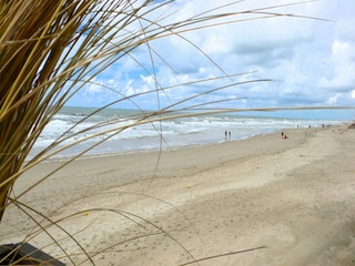 Appartement Callantsoog Environnement 24