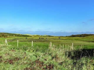 Apartment Oostkapelle Environment 29