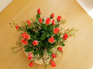 Apartment Oostkapelle  39