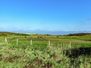 Appartement Oostkapelle Environnement 26