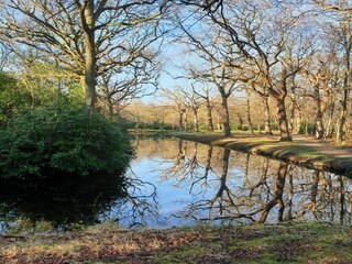 Appartement Oostkapelle Environnement 28