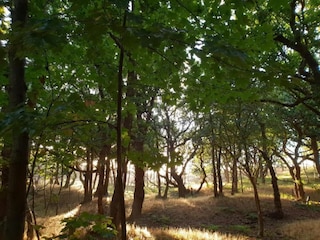 Apartment Oostkapelle Environment 21