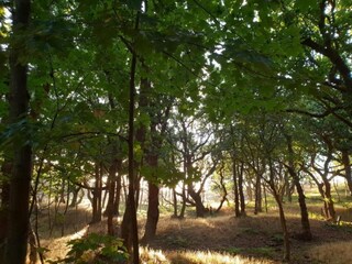 Apartment Oostkapelle Umgebung 30