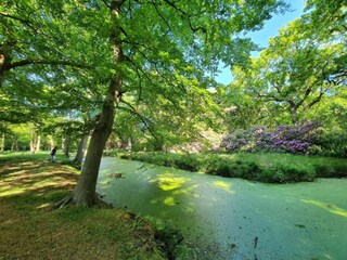 Appartement Oostkapelle Environnement 33
