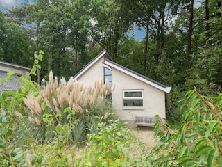 Vakantiehuis Schoorl Buitenaudio-opname 4
