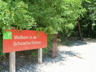 Maison de vacances Schoorl Environnement 21