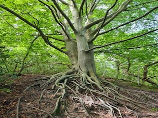 Casa per le vacanze Schoorl Ambiente 28