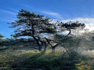 Holiday house Schoorl Environment 26