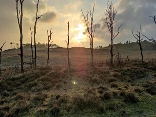 Casa per le vacanze Schoorl Ambiente 33