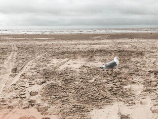 Maison de vacances Schoorl Environnement 27
