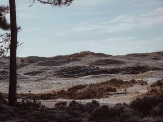 Casa per le vacanze Schoorl Ambiente 32