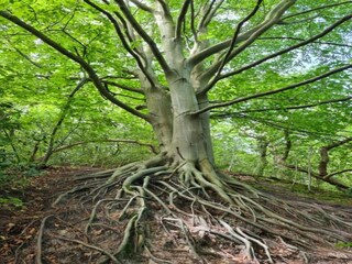 Casa per le vacanze Schoorl Ambiente 30