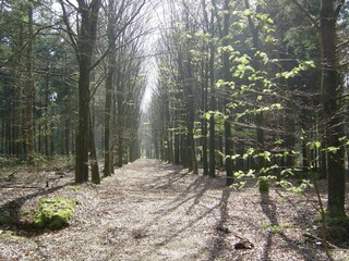 Vakantiehuis Ruigahuizen Omgeving 27