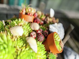 Holiday house Dishoek  29