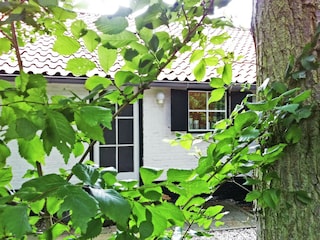 Ferienhaus Dishoek  40