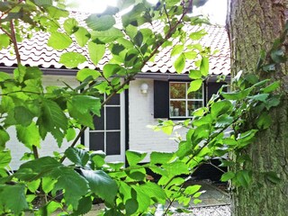 Vakantiehuis Dishoek  40