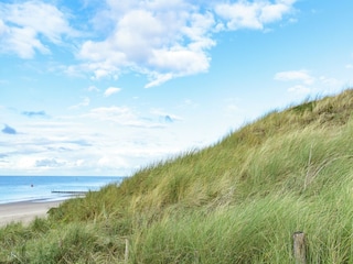 Vakantiehuis Dishoek Omgeving 25
