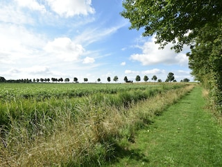 Maison de vacances Bruinisse Enregistrement extérieur 8