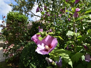 Vakantiehuis Bruinisse  33