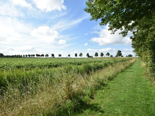 Holiday house Bruinisse Outdoor Recording 10