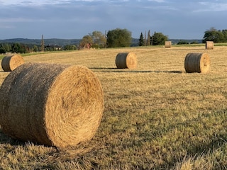 Heuernte am Dorfrand