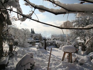 Our garden, a winter fairytale