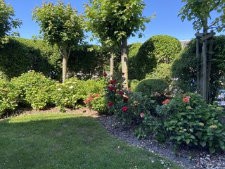 Blick in den Garten