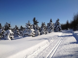 Cross-country ski at Lesna 1,000 m.a.s.l.