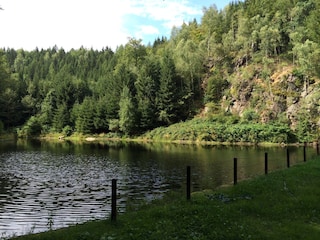 Powder mill pond NSG Rungstock