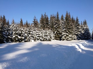 Winter im NSG auf 800 m Meereshöhe