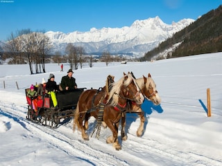 Chalet Maishofen Umgebung 34