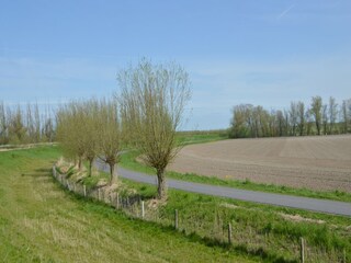 Holiday house Dordrecht Environment 35
