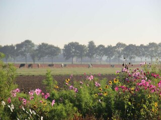 Vakantiehuis Dordrecht Omgeving 32