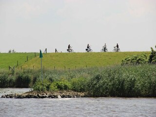Holiday house Dordrecht Environment 34