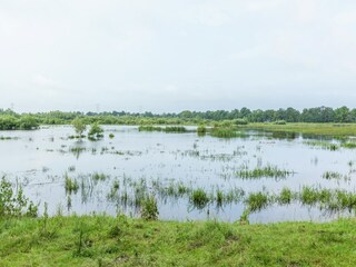 Casa de vacaciones Oisterwijk Entorno 27