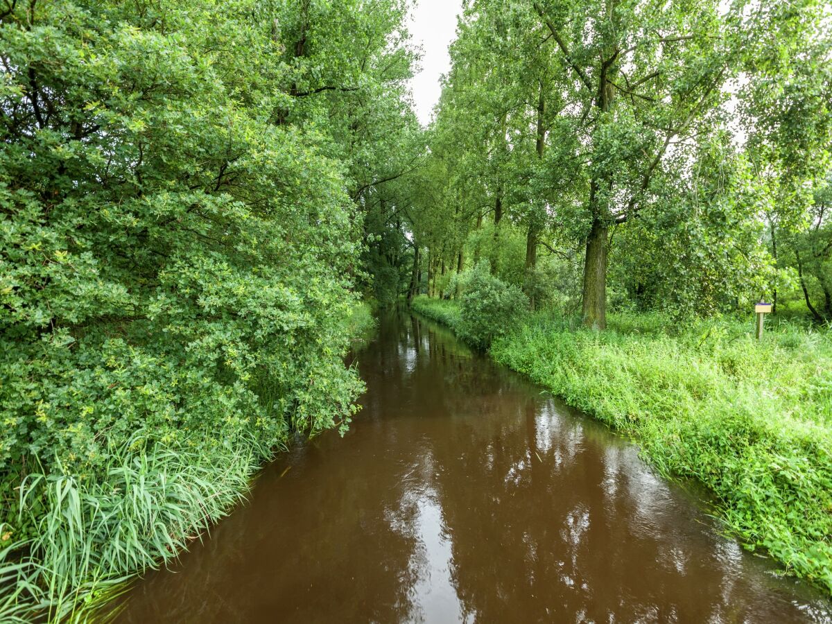 Ferienhaus Oisterwijk Umgebung 26