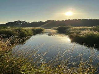 Casa per le vacanze Oisterwijk Ambiente 33