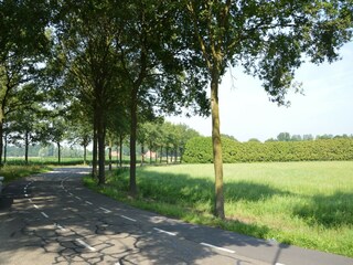 Vakantiehuis Haaren Omgeving 33
