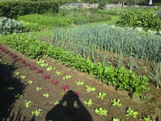 Holiday house Lage Mierde Outdoor Recording 9