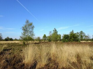 Vakantiehuis Lage Mierde Omgeving 32