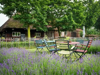 Casa per le vacanze Lage Mierde Registrazione all'aperto 4