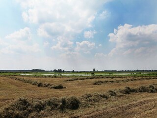 Boerderij Chaam Buitenaudio-opname 7