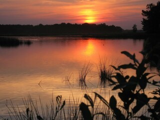 Type de propriété : Ferme Chaam Environnement 23