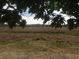 Type de propriété : Ferme Chaam Environnement 26