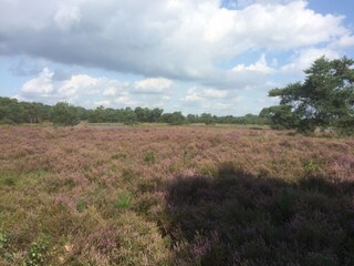 Bauernhof Chaam Umgebung 26