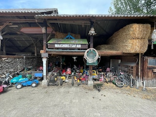 Type de propriété : Ferme Uden  32