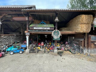 Type de propriété : Ferme Uden  38